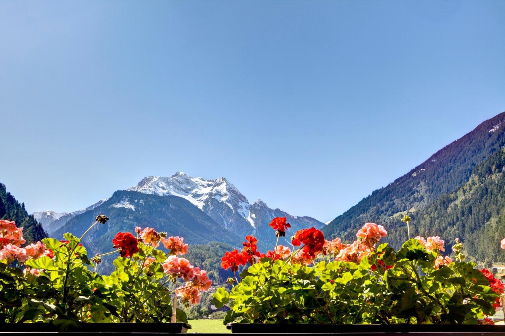 Gaestehaus Oblasser Mayrhofen Luaran gambar