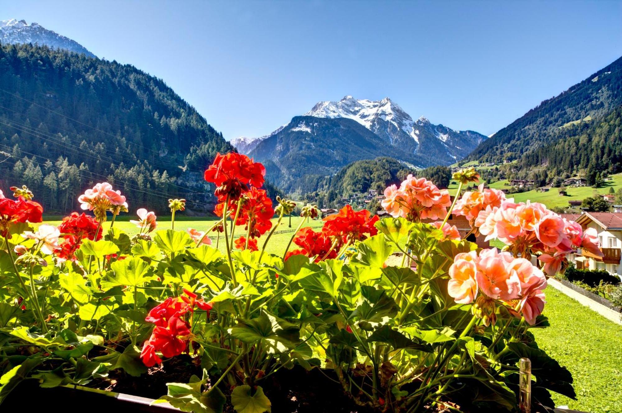 Gaestehaus Oblasser Mayrhofen Luaran gambar